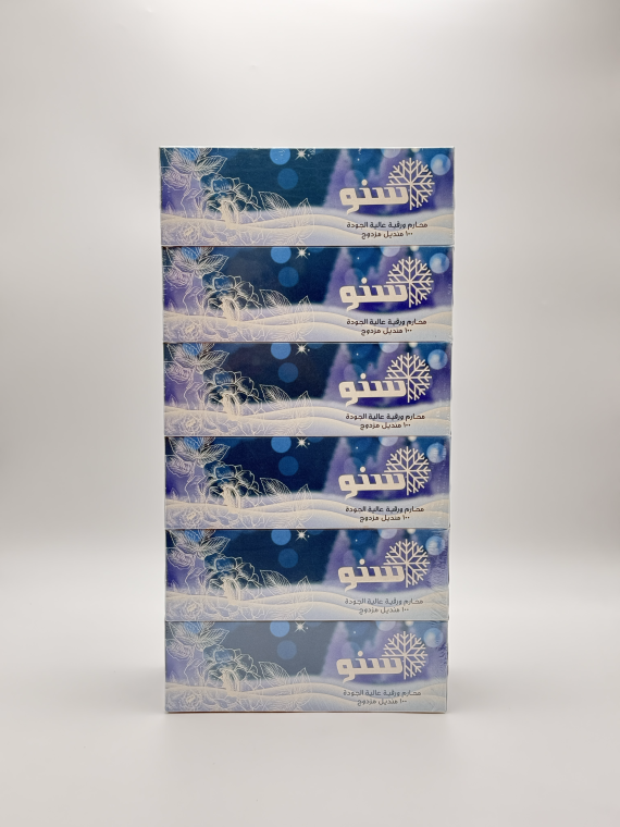 Facial Tissue Paper – 100 Sheets x 2 Ply (Pack of 6)